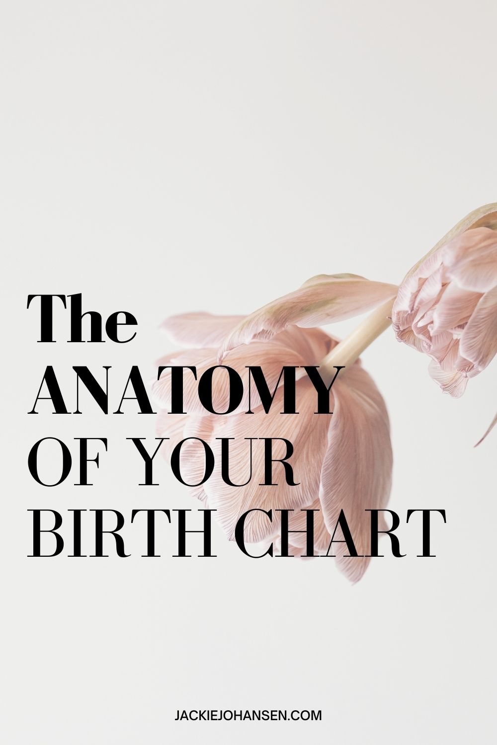 The Anatomy of Your Birth Chart